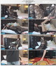 [PANS°] Vol. 854  _Ƶ [MP4/739M]